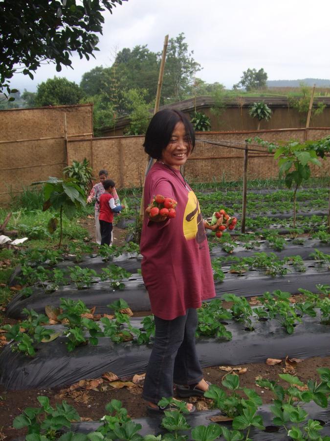 Strawberry Hill Hotel & Restaurant Bedugul  Eksteriør billede