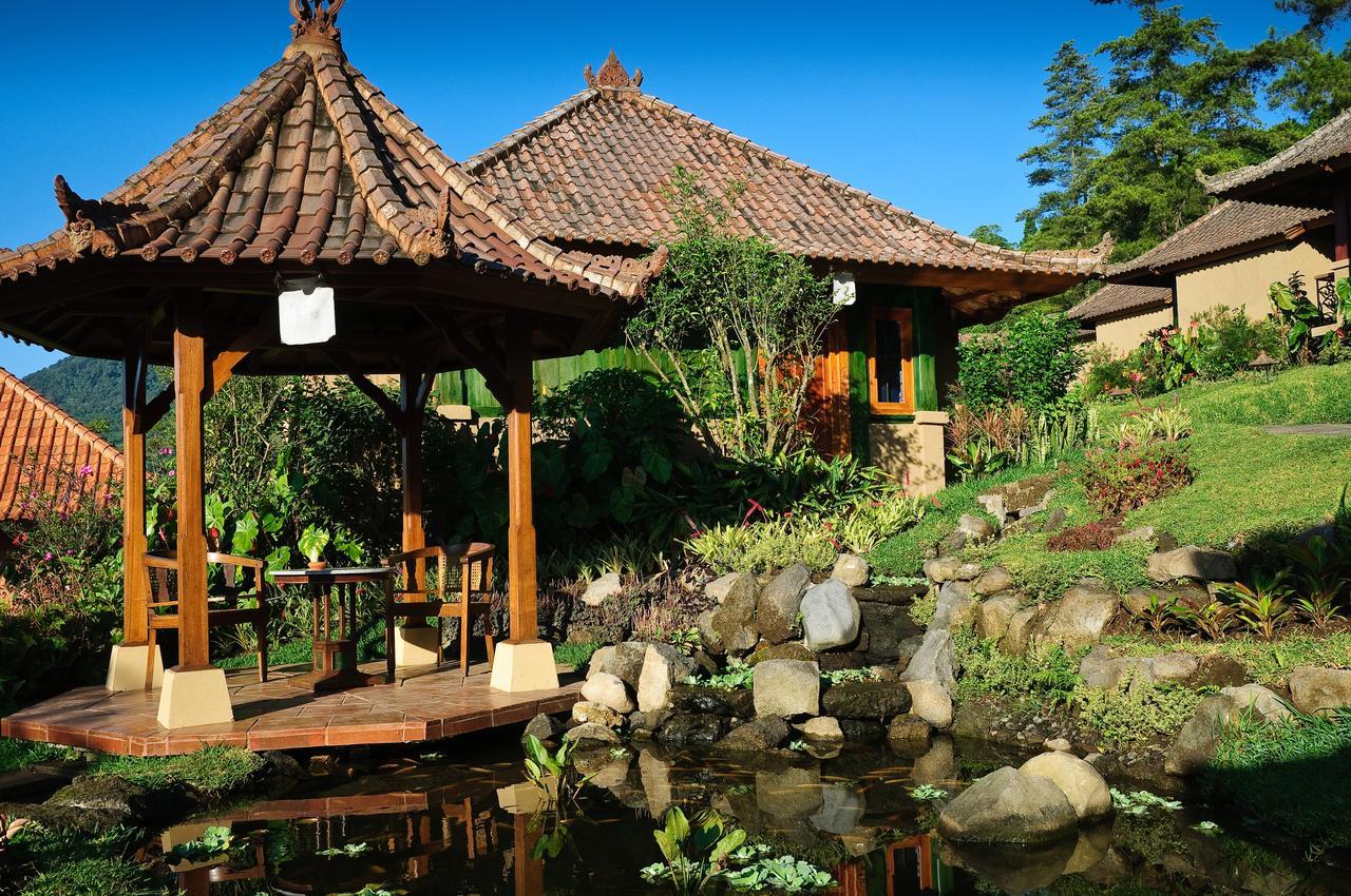 Strawberry Hill Hotel & Restaurant Bedugul  Eksteriør billede